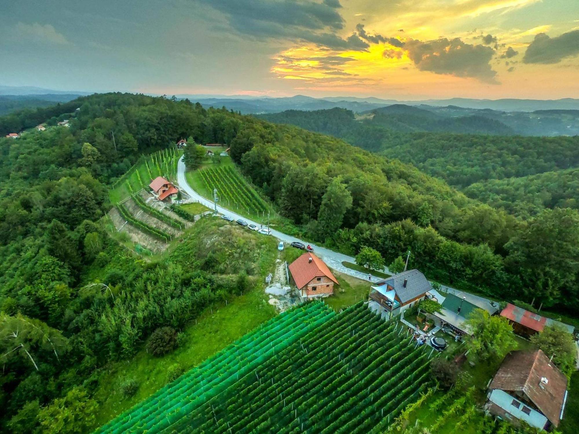 Vineyard Cottage Matej Trebnje Екстер'єр фото