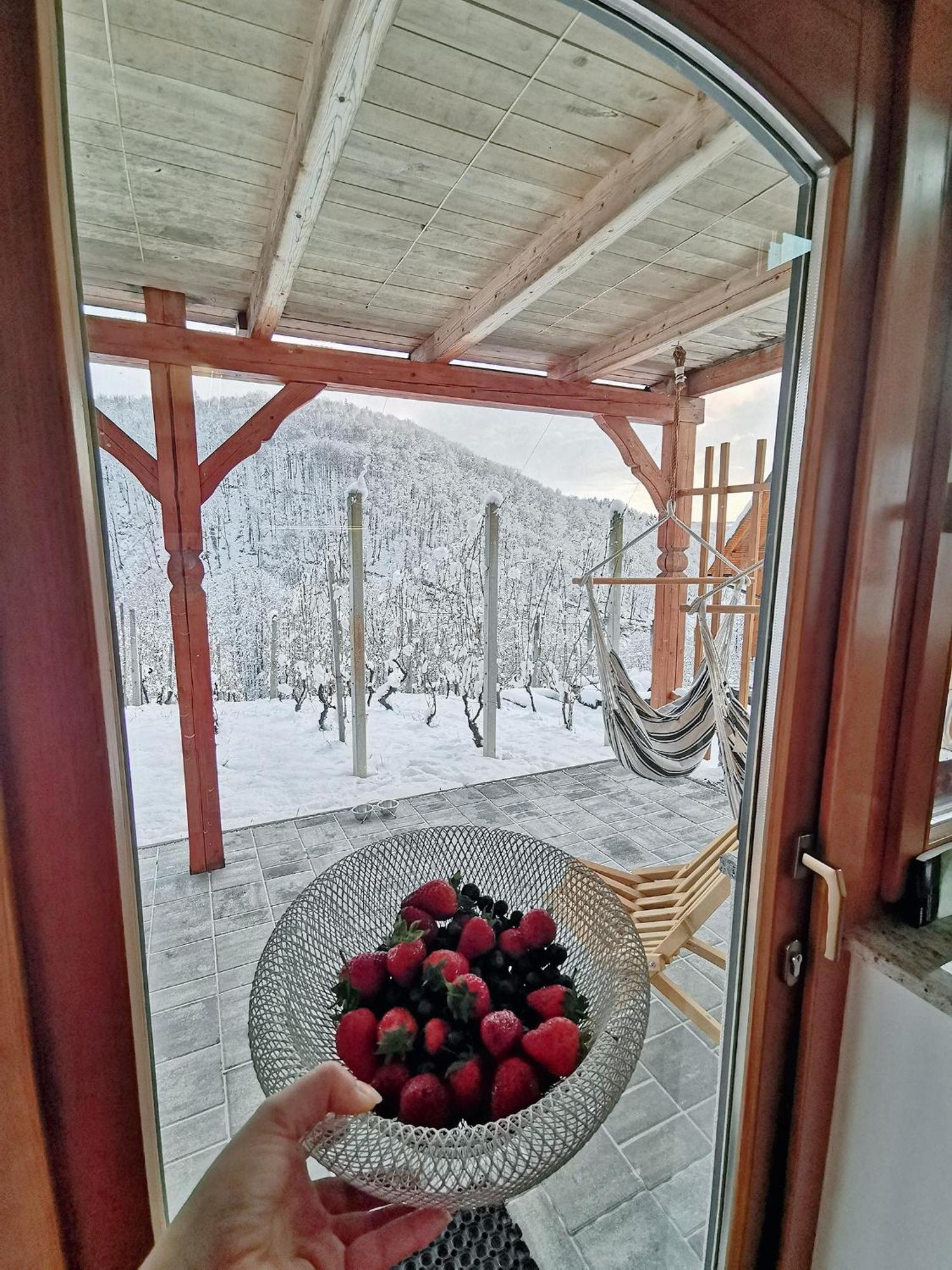 Vineyard Cottage Matej Trebnje Екстер'єр фото